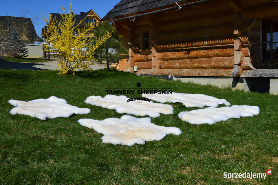 Skóry Owcze Zszywane Dywany Dywaniki Naturalna sprzedam