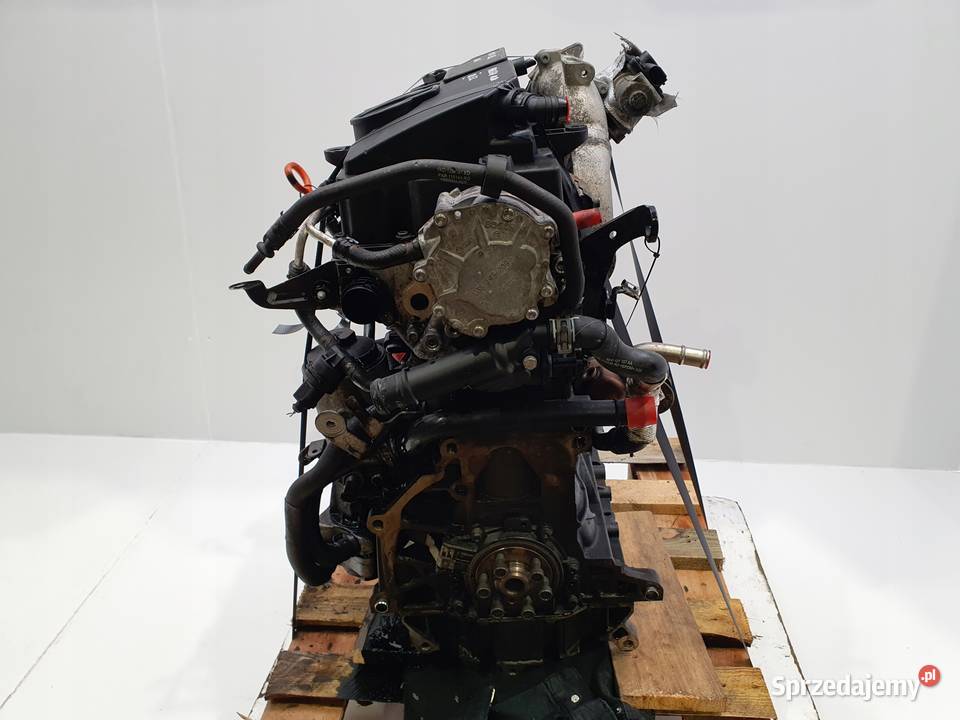 SILNIK BLS VW Passat B6 Golf V Touran Jetta III osobowe Chełm sprzedam