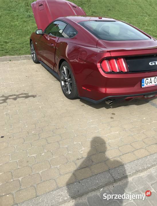 Mustang 2015 GT 50 Full wyposarzenie 74200km pomorskie Tczew sprzedam