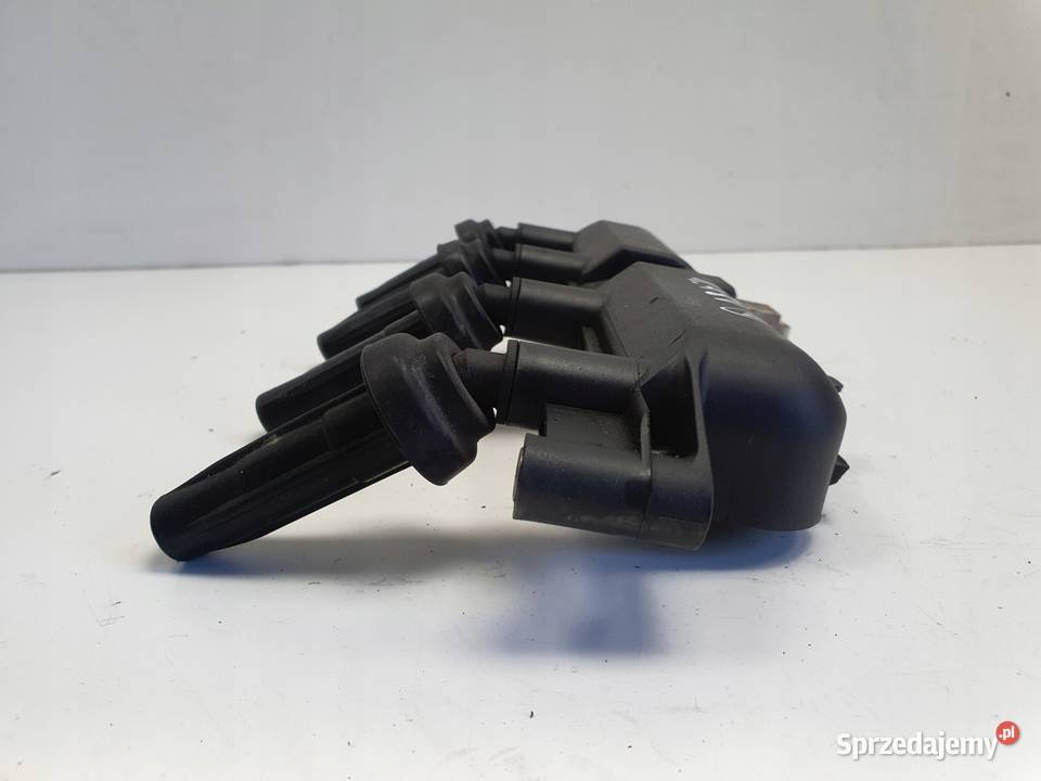 CEWKA ZAPŁONOWA Peugeot 206 14 8V 20161 BREMI osobowe Rudka