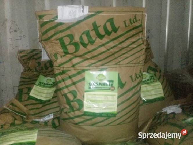 Dysantic Dezynteria biegunki adenomatoza BEZ Bartoszyce