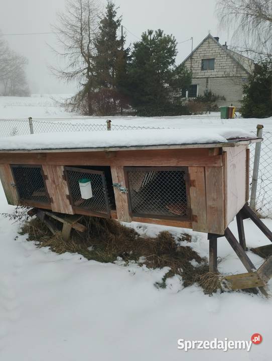 Klatka królika Frank sprzedam