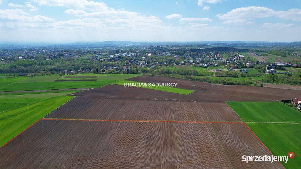 Działka 30420m2 Młodziejowice telefon