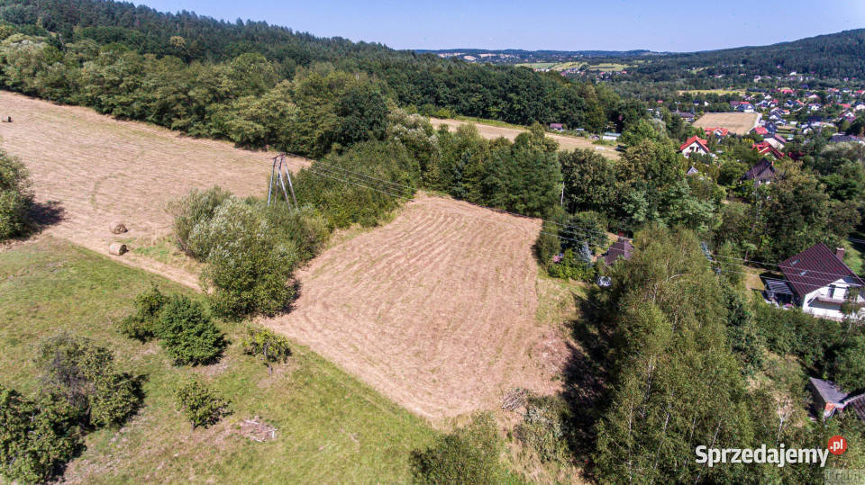 Działkę sprzedam 2385m2 Gorzeń Dolny Dworkowa