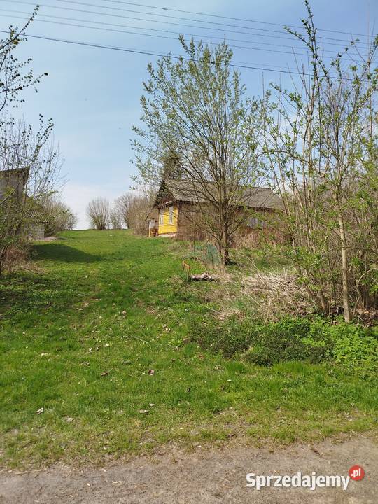 Sprzedam siedlisko z polem klasy NIE WYMAGANE Sprzedaż Telatyn