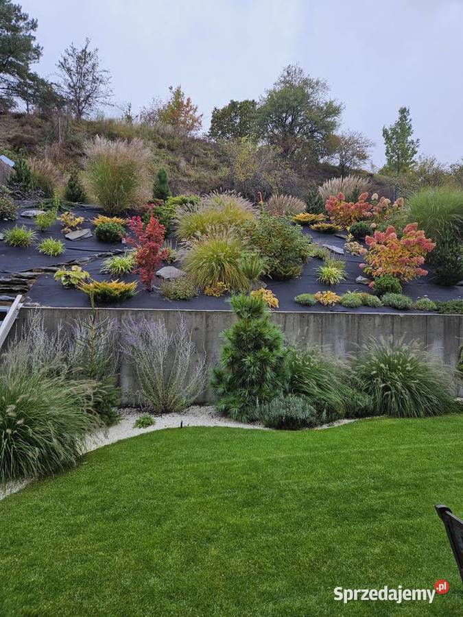 Zakładanie pielęgnacja ogrodu Usługi kujawsko-pomorskie