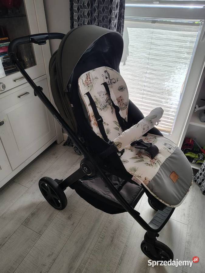 Wózek 2 w 1 Espiro Only Wielofunkcyjne Dla Dziecka Kraśnik