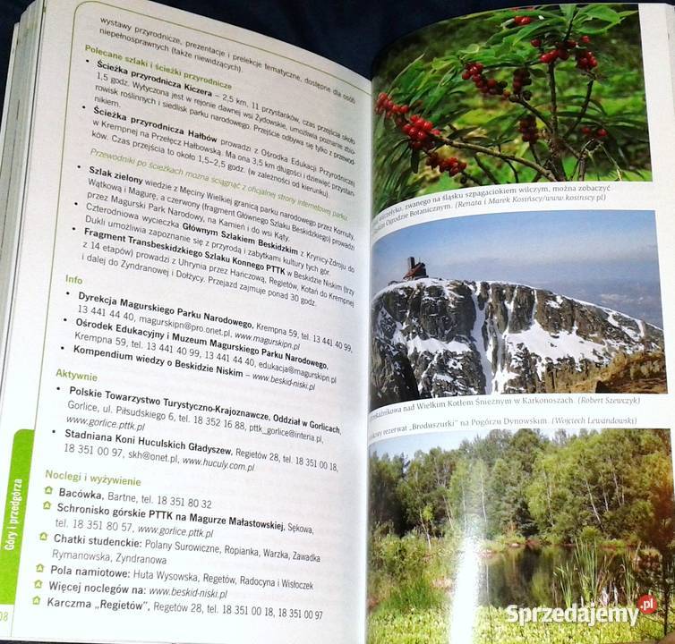 Zielona Polska Wojciech Lewandowski Robert Mapy i przewodniki Chełm