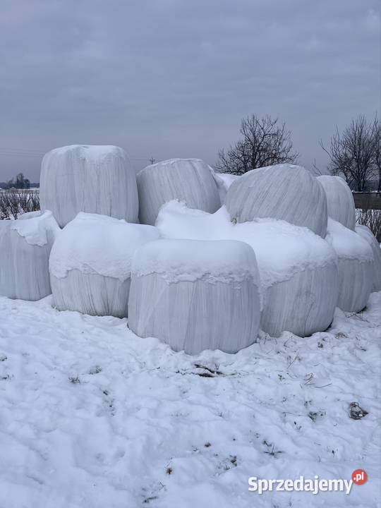 Baloty sianokiszonka 120x120 Biłgoraj