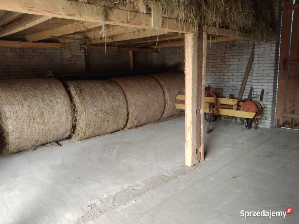 Sprzedam Siano w kostkach i belach Starachowice
