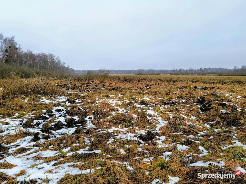 Działka rekreacyjna 3004 m2 w Karwiku Karwik sprzedam