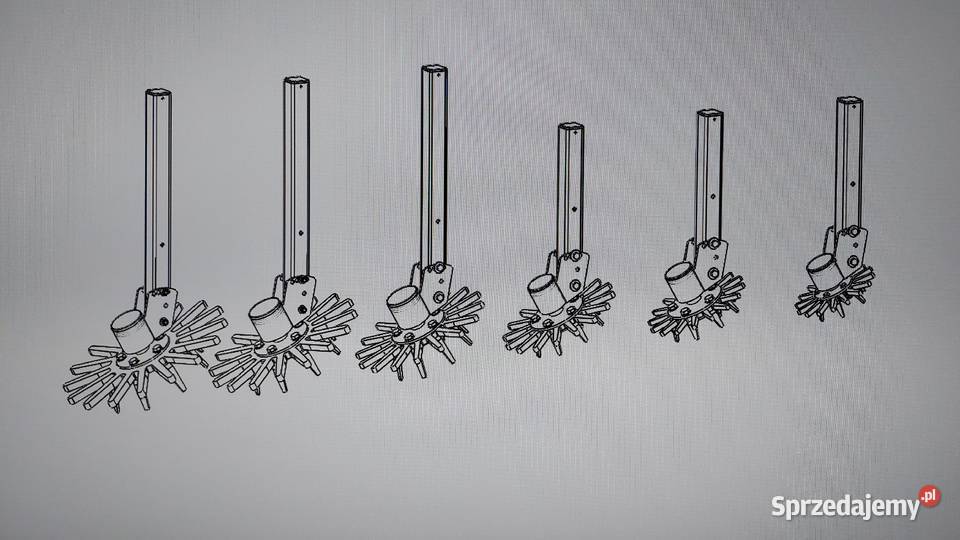 22 gwiazda gwiazdy słoneczko pielące pieląca łódzkie