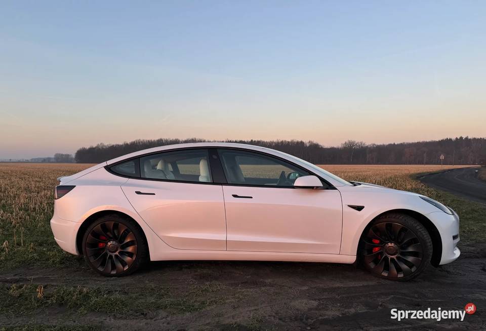 Tesla Model 3 lubelskie Poznań