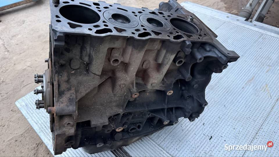 Blok silnika Ford Transit 24 TDCI dostawcze Starogard Gdański sprzedam