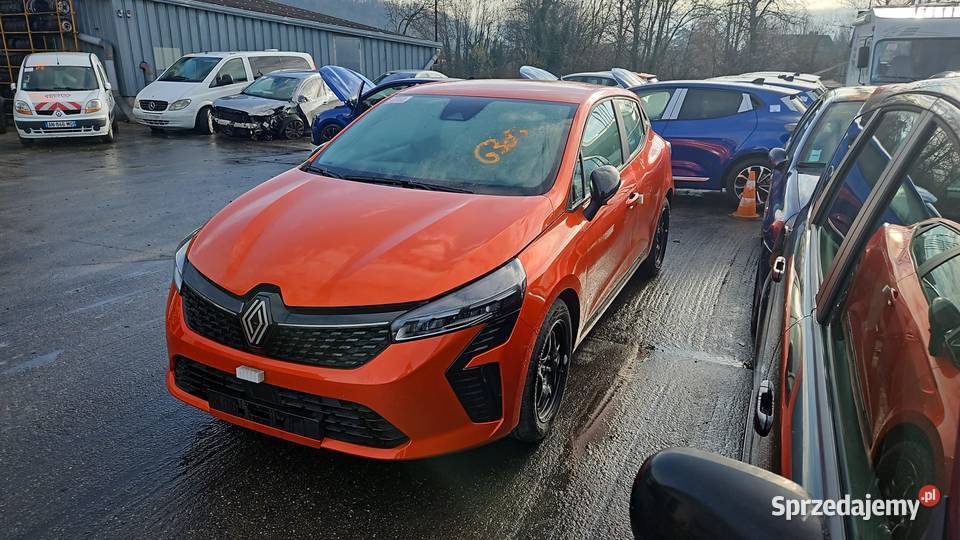 Potestowe najnowszej Clio łódzkie