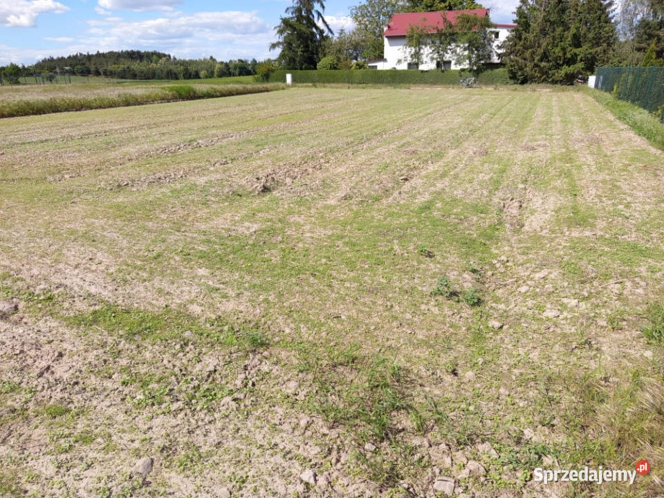 Sprzedam Działkę Powidz sprzedam