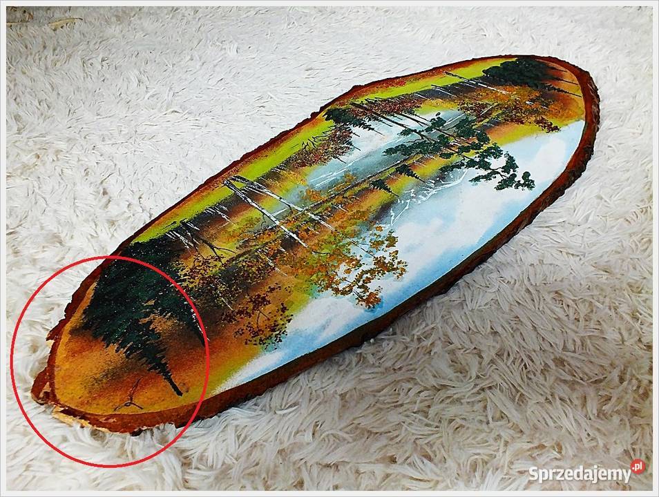 Duży Obraz ręcznie malowany na pniu drzewa Żary