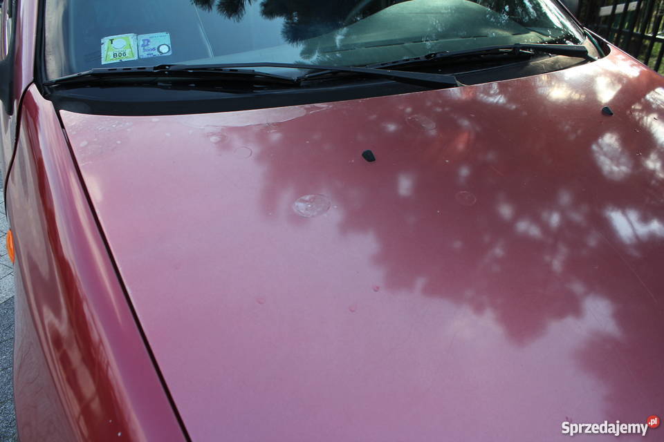 Punto 55 SOLE 5 DKATAL oryginalny przebieg 103 Punto Samochody osobowe Brzesko