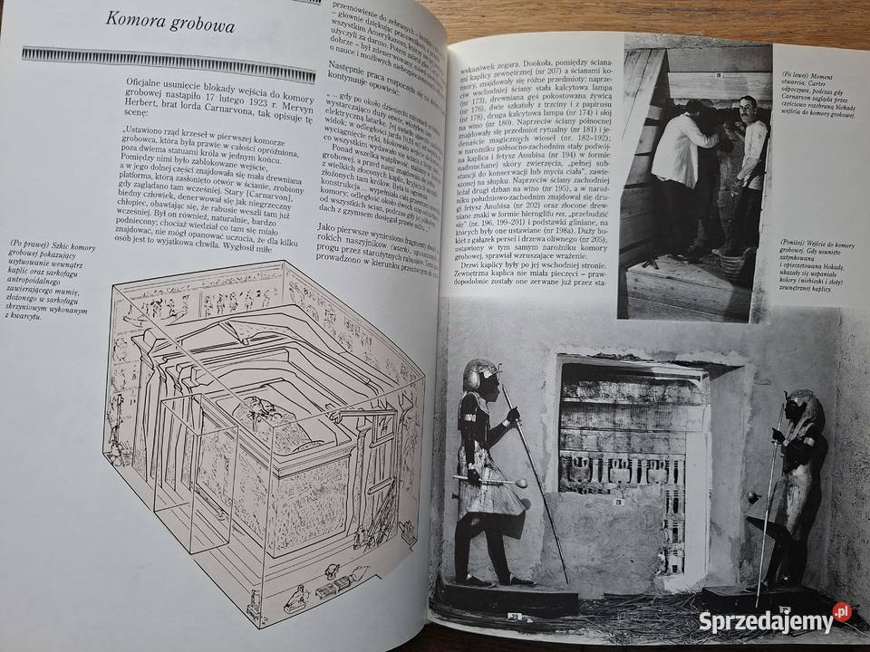 Tutanchamon Nicholas Reeves Rok wydania 1998 Kraków