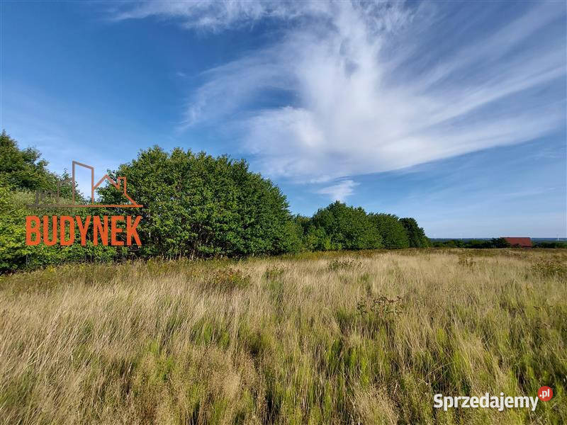 Działka rolna Kopnica