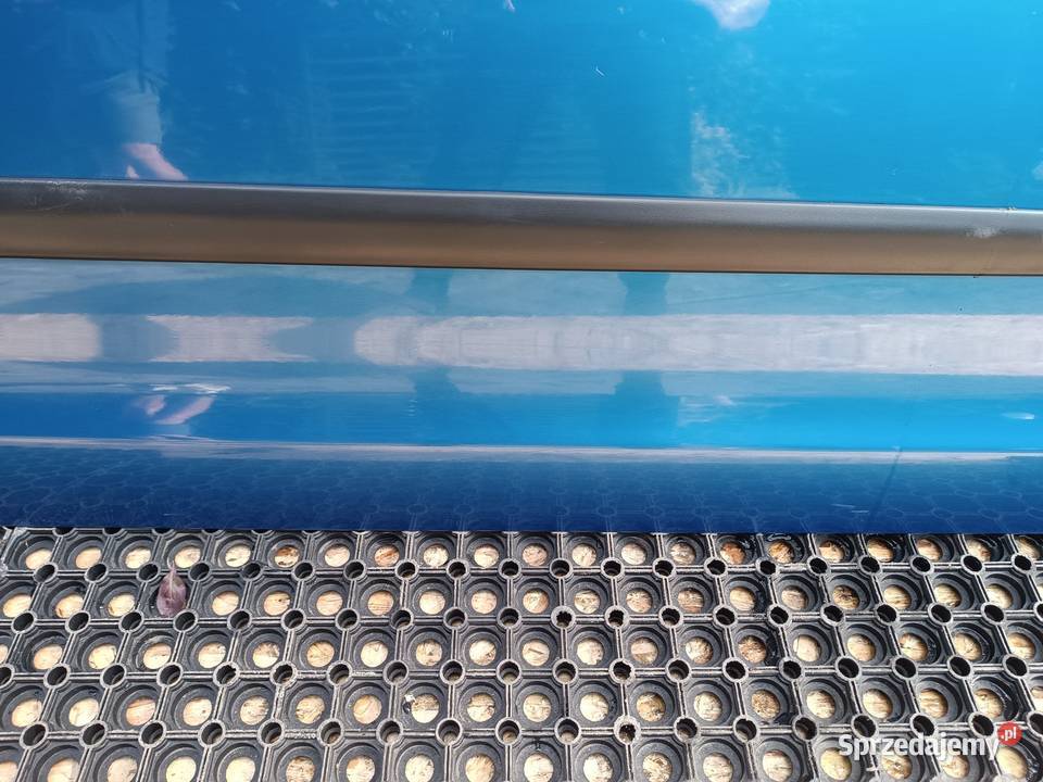 VW POLO 9N 5D LA5M DRZWI PRZÓD PRAWY PRAWE Słowikowo