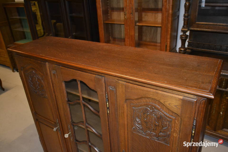 biblioteka witryna ludwikowska dąb Będzin