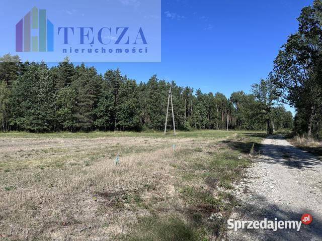 Sprzedaż działki Borucza 1800m2 szambo sprzedam