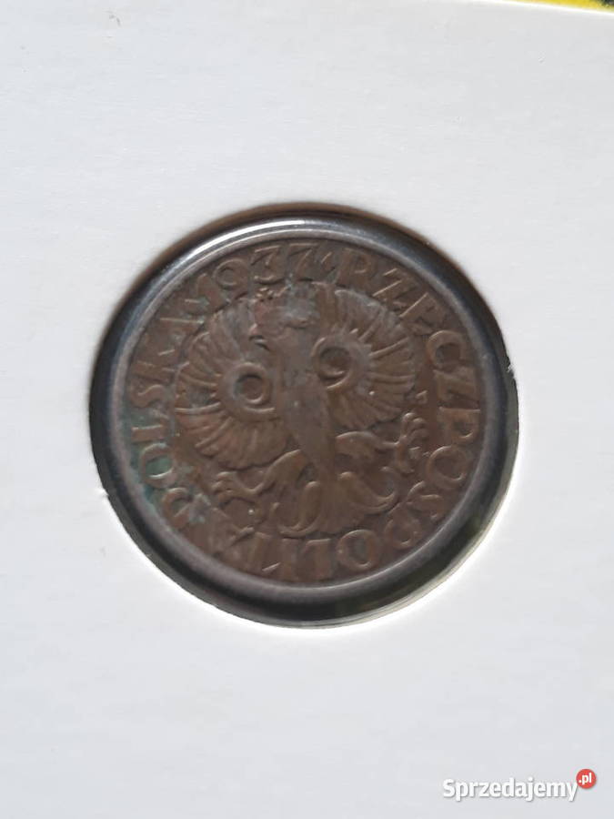5 Groszy 1937 r 1 Super Numizmatyka Konin
