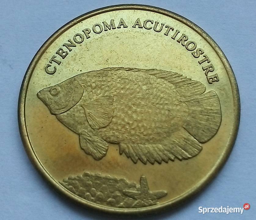MALUKU5 RUPEES2019 rGNRYBA mazowieckie