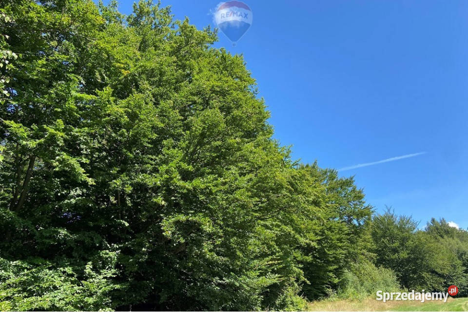 Działka na szczycie Magurki Wilkowickiej Wilkowice