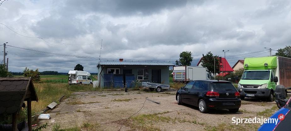 Syndyk sprzeda Amelin