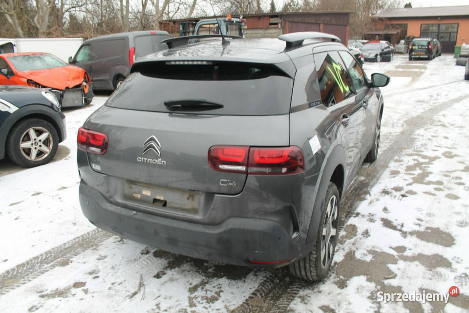 Citroen C4 Cactus I 2014 Rok produkcji 2019 Ostrów Wielkopolski