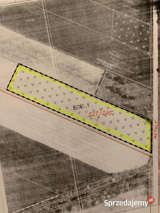 Domaniowski Zalew koło Pałacu OKAZJA rekreacyjna mazowieckie Głogów