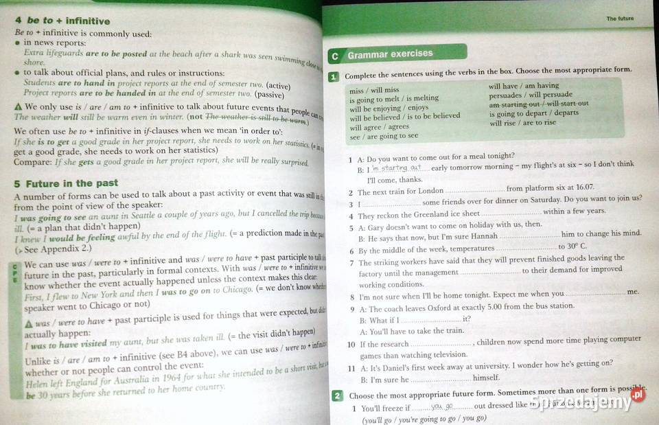 Grammar for CAE and proficiency with answers Rok wydania 2009 Pozostałe lubelskie Chełm