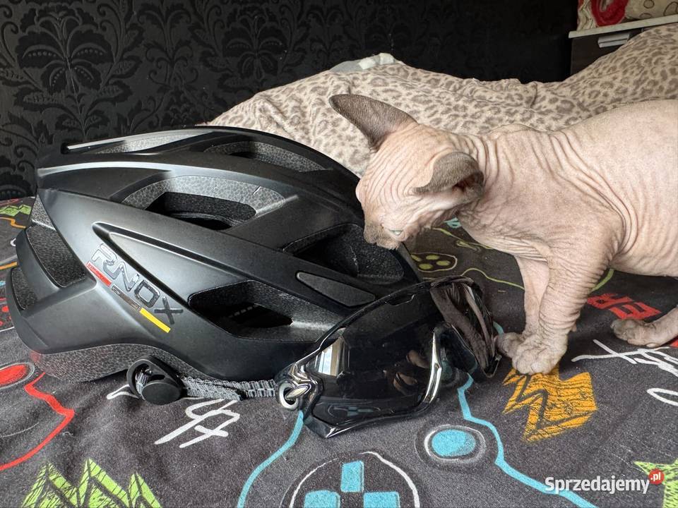 Kask rowerowy Grodzisk Mazowiecki
