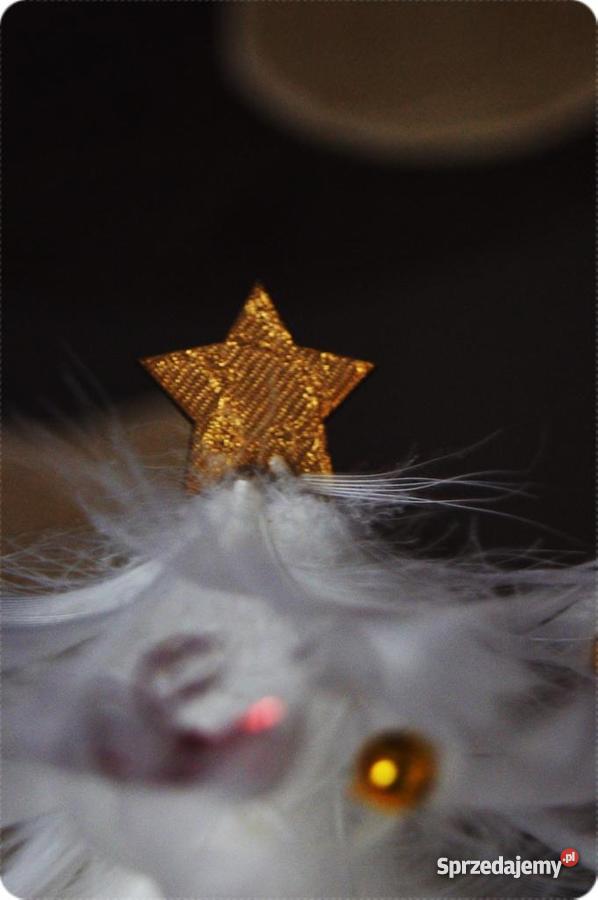 Choinka z piórek na pniu Opole