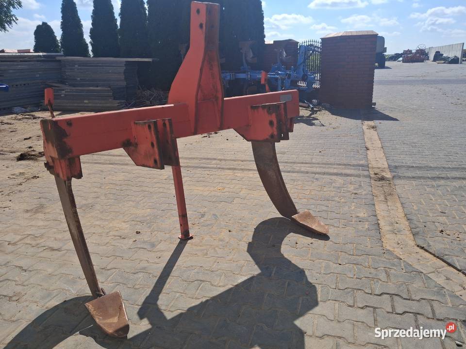 Głębosz 2 łapy Witonia