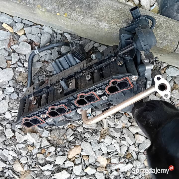 Kolektor sterownik astra h podkarpackie Krosno sprzedam