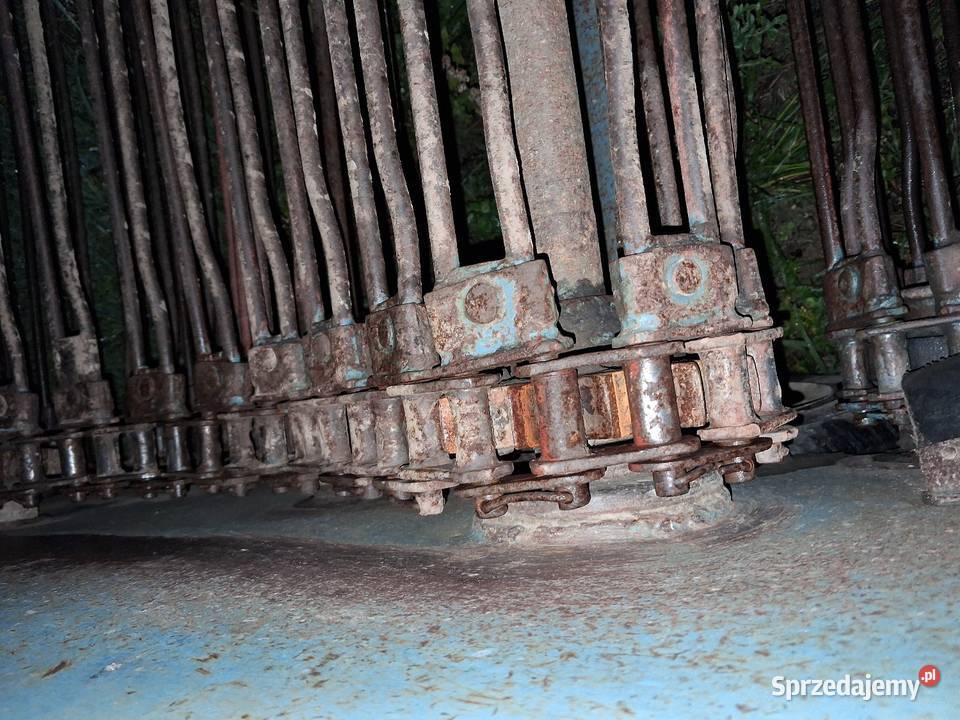 Kopaczka elewatorowa do ziemniakow Kopaczki podlaskie Puńsk