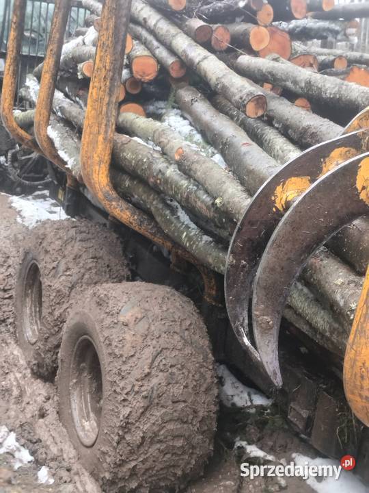 Usługi leśne warmińsko-mazurskie Olecko