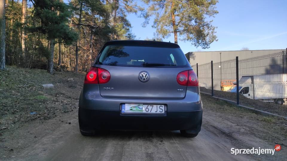 Volkswagen Golf 2004 14 fsi szary Golf wielkopolskie Chodzież