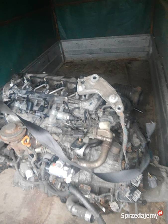 Silnik honda ufo 22 CDTI kompletny lubelskie Łęczna