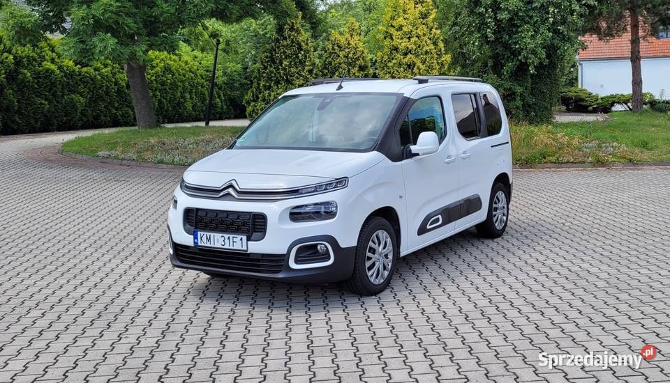 Citroen Berlingo III 15 BlueHDI 130 M Feel Rok produkcji 2019 Berlingo