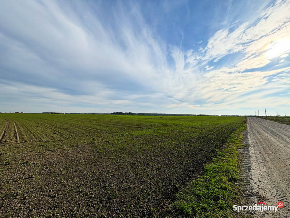 sprzedaży gruntu Czołowo 2980m2 2980m2 sprzedam