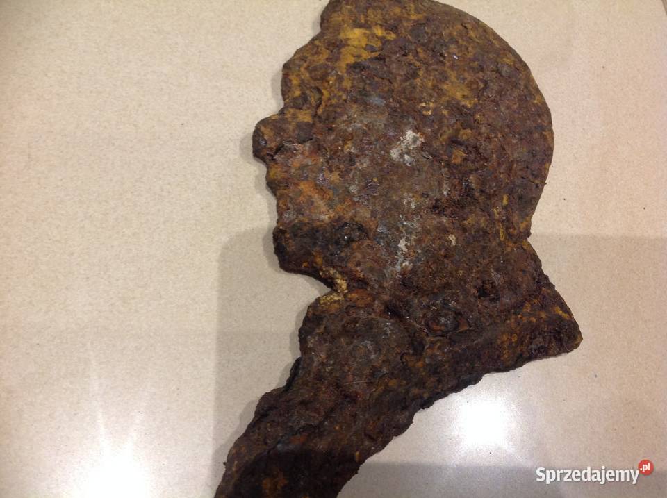 Popiersie Żeliwne Stare Pozostałe Antyki, Sztuka, Kolekcje Nowa Sól