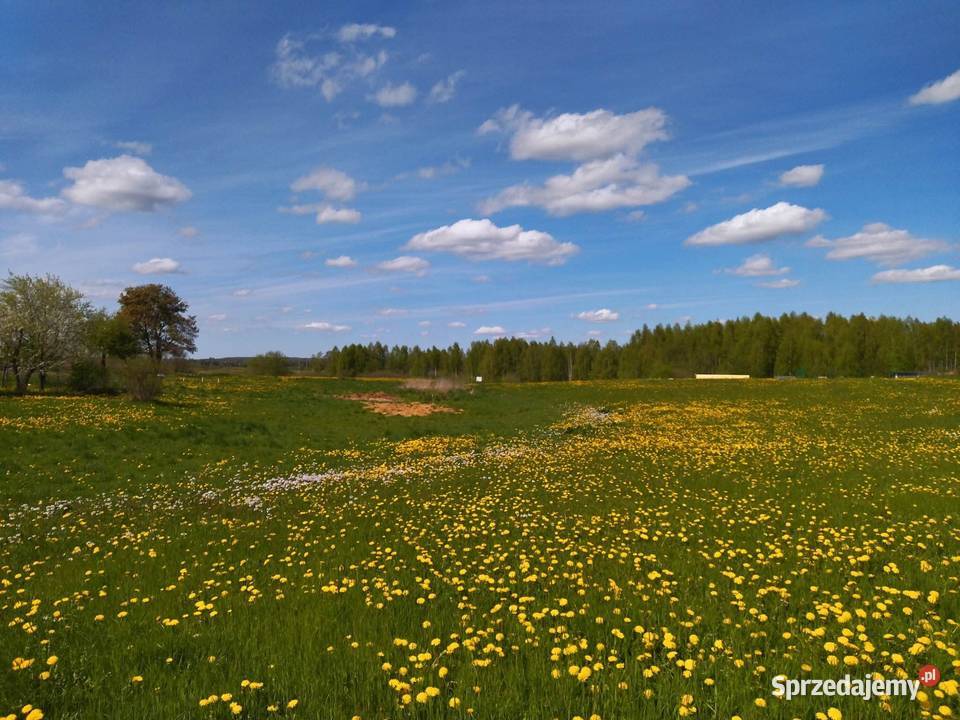 Działka rekreacyjna z możliwością zabudowy Raj
