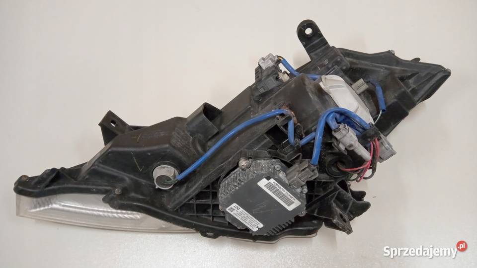 LAMPA LEWY PRAWY PRZÓD XENON NISSAN MURANO Z50 Nowy Tomyśl