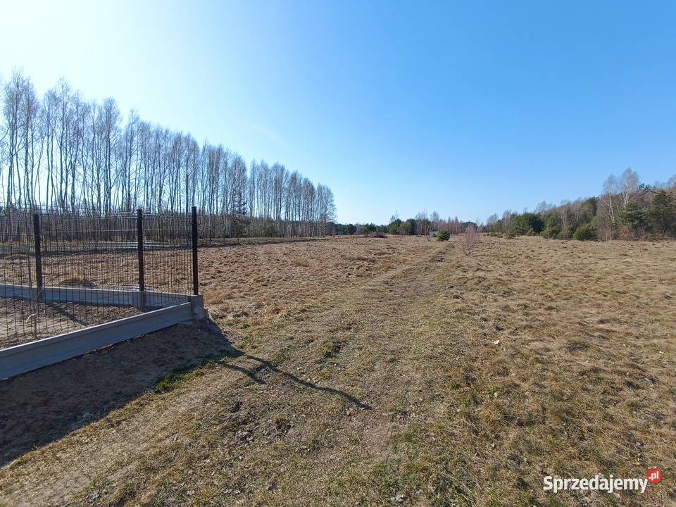 Sprzedam działki budowlane w Sadku 1000m2