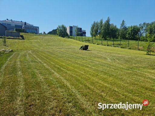 koszenie traw wycinki drzew ogrodzenia Pielęgnacja ogrodów i trawników Gdańsk