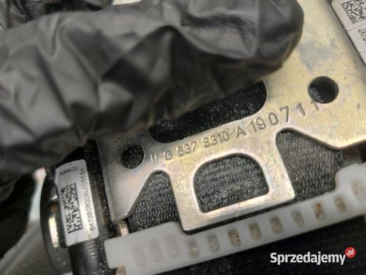 FORD FOCUS MK4 23r pas bezpieczeństwa prawy świętokrzyskie